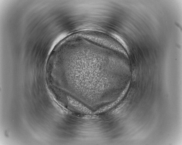 X0000094951146200712201131