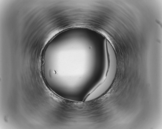 X0000094951147200712201131