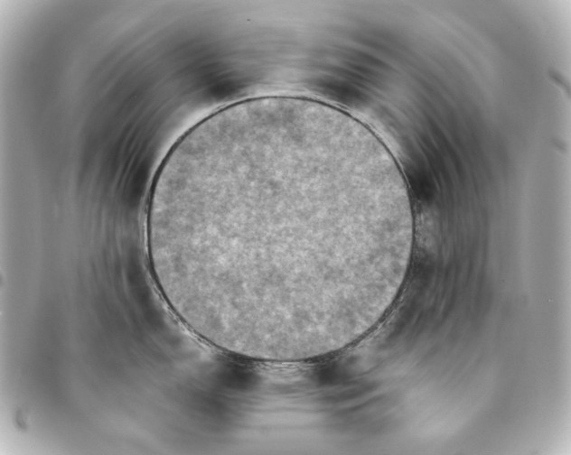 X0000094951150200712201131