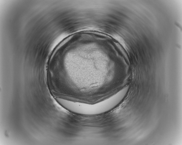 X0000094951151200712201132