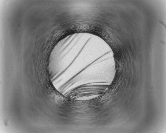 X0000094951153200712201131