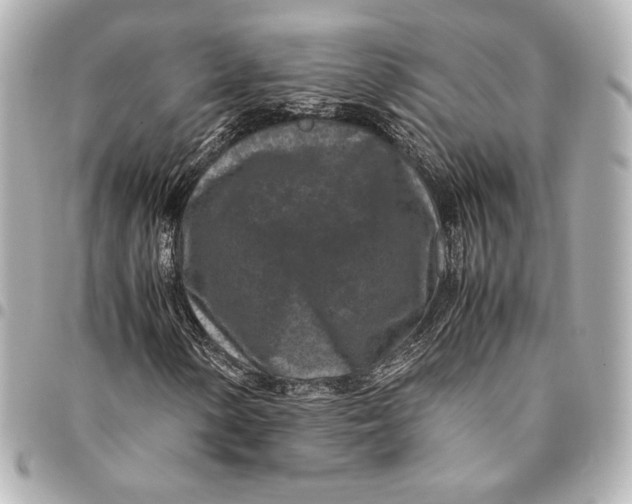 X0000094951154200712201131