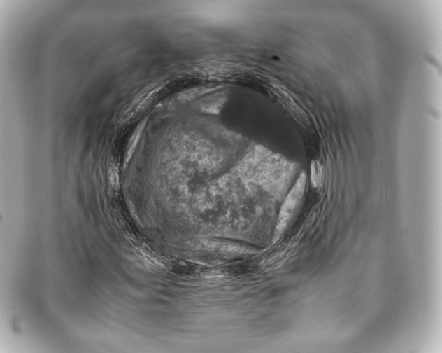 X0000094951155200712201131