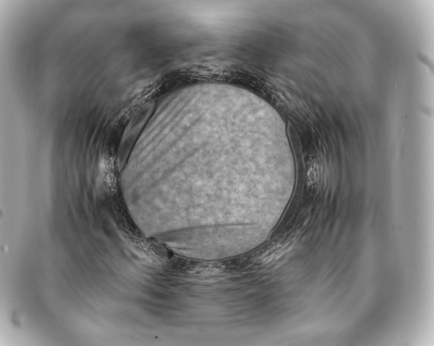 X0000094951156200712201131