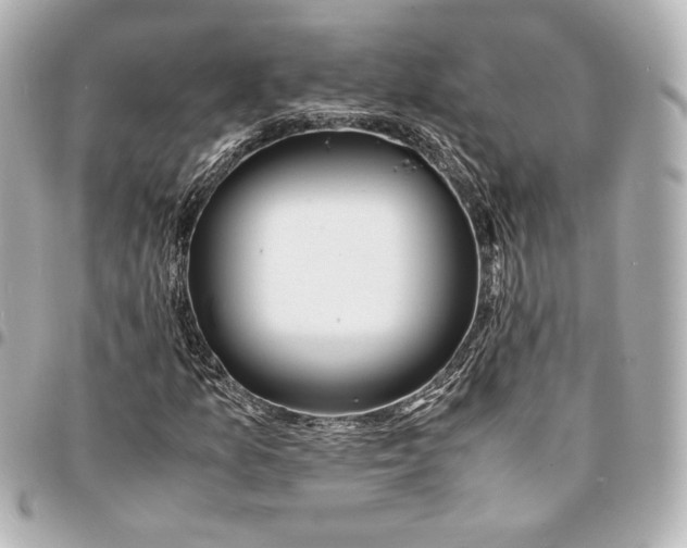 X0000094951157200712201131