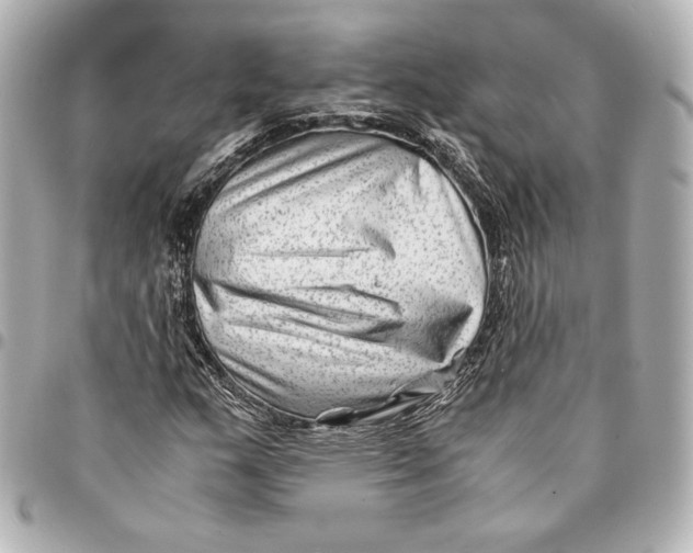 X0000094951159200712201131