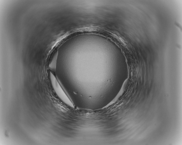 X0000094951160200712201131