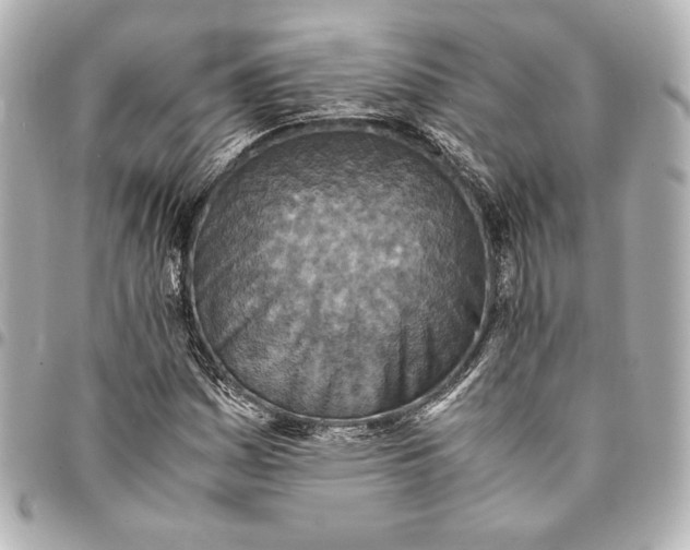 X0000094951161200712201131