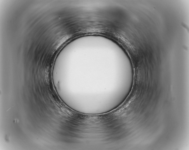 X0000094951162200712201131