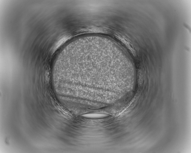 X0000094951163200712201131