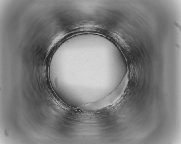 X0000094951164200712201131