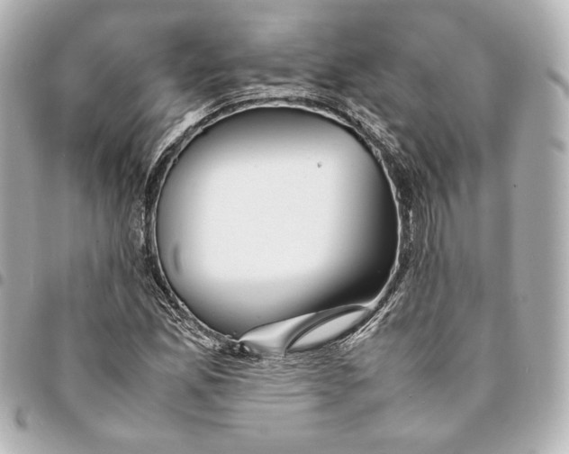 X0000094951165200712201131