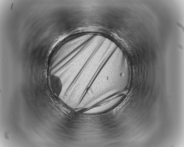 X0000094951166200712201131