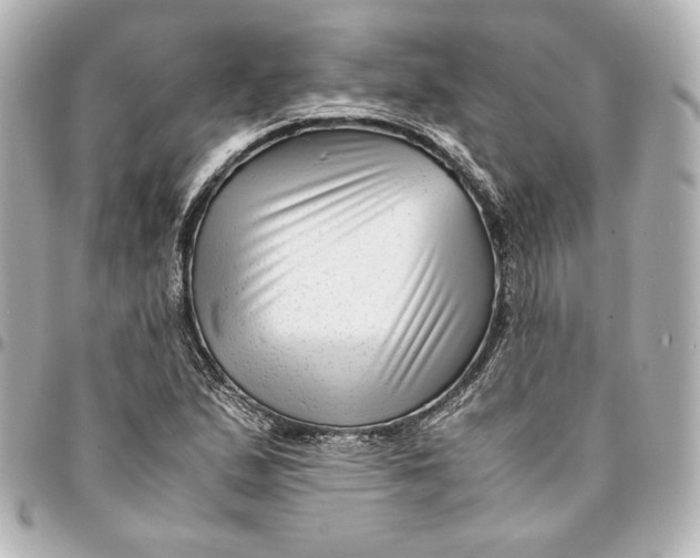 X0000094951167200712201131