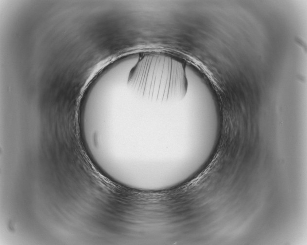 X0000094951168200712201130