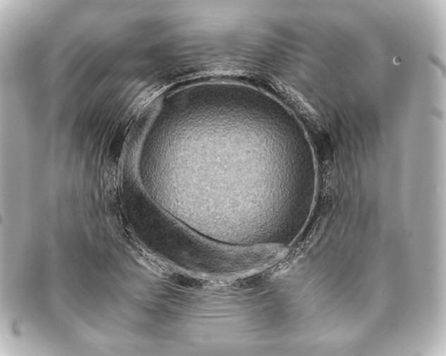 X0000094951169200712201130