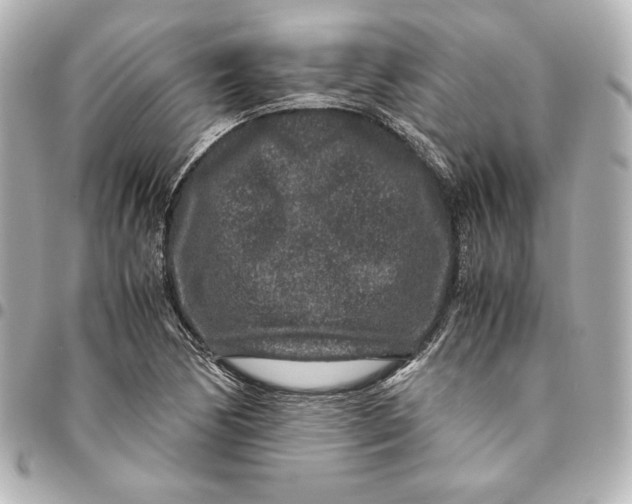 X0000094951170200712201130