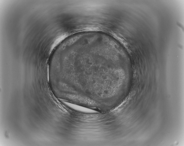 X0000094951171200712201130