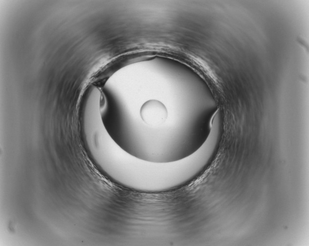 X0000094951172200712201130