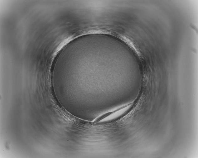 X0000094951173200712201130