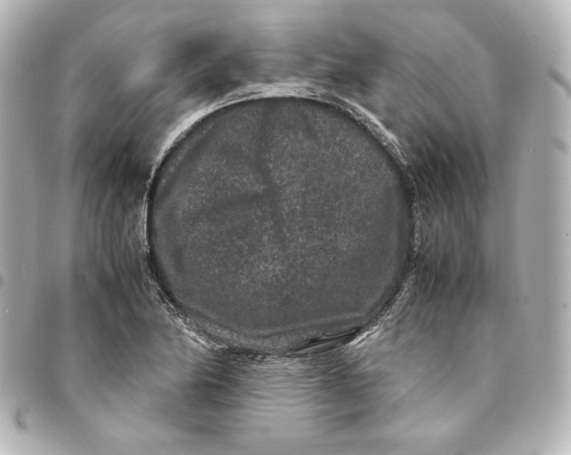 X0000094951174200712201130