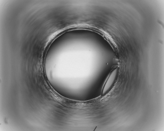 X0000094951176200712201130