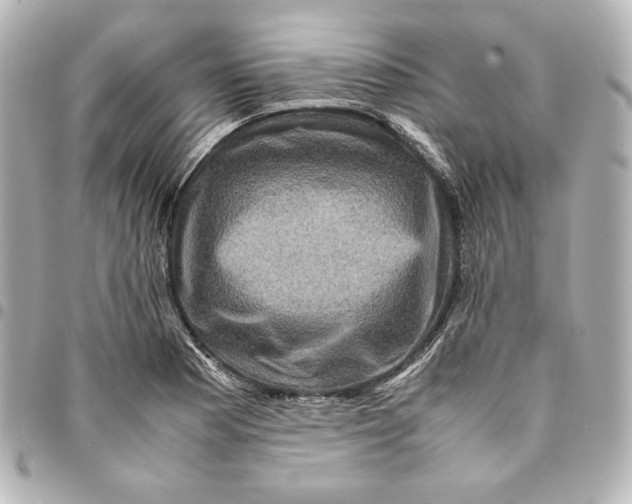 X0000094951177200712201130