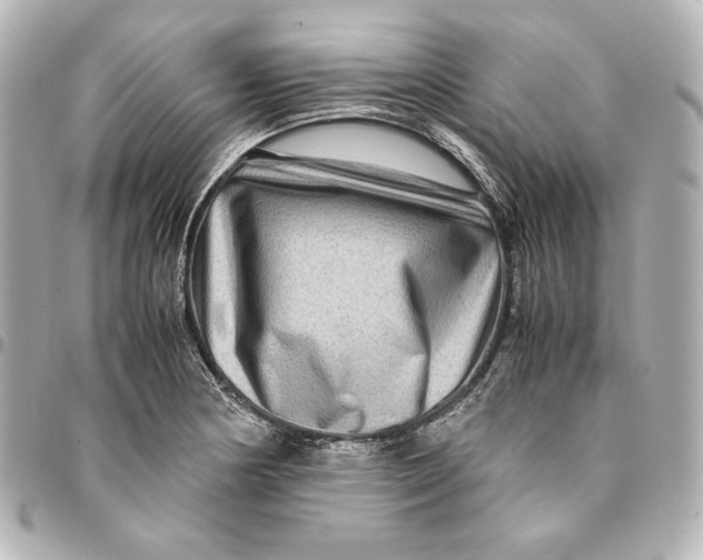 X0000094951178200712201130