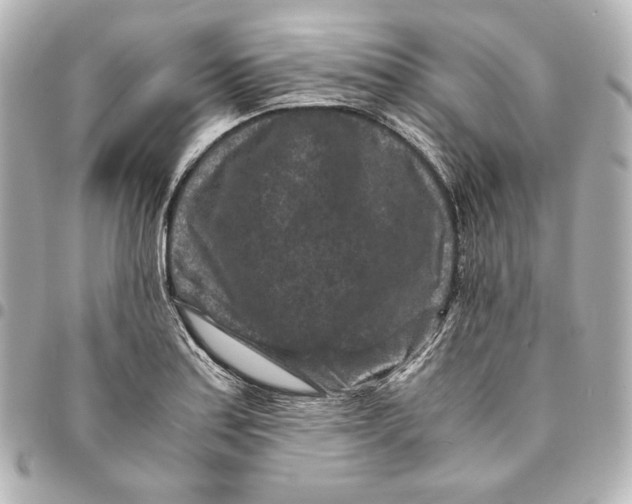 X0000094951179200712201130