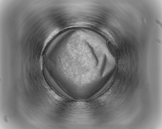 X0000094951180200712201130