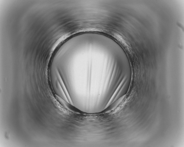 X0000094951181200712201130