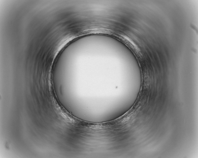 X0000094951182200712201130