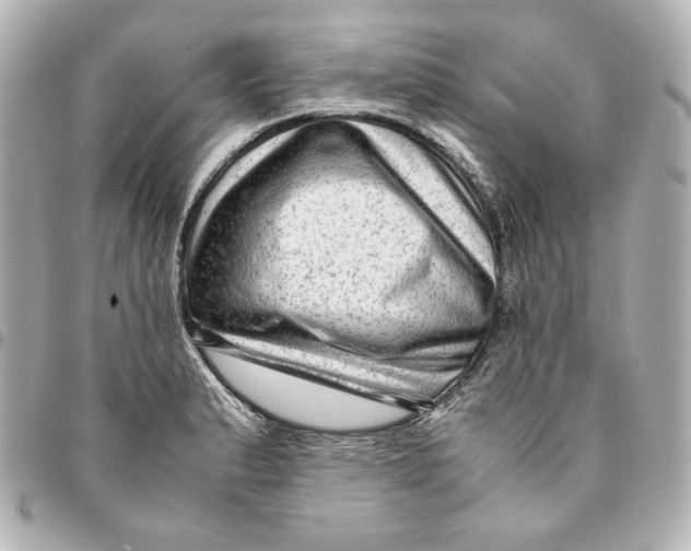 X0000094951183200712201130