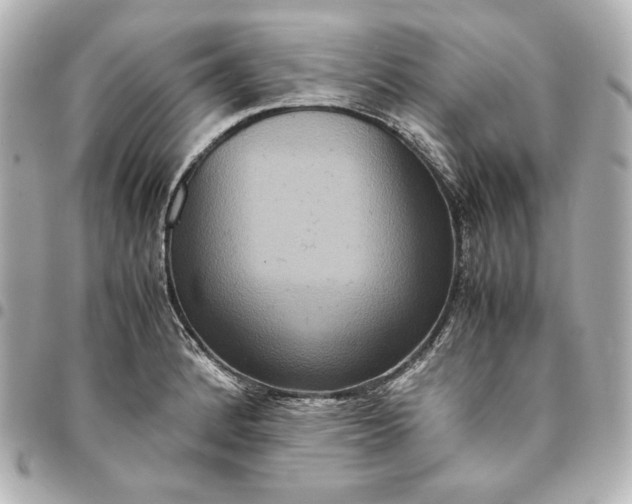 X0000094951184200712201130