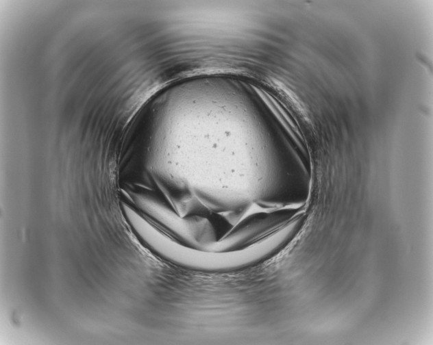 X0000094951185200712201130