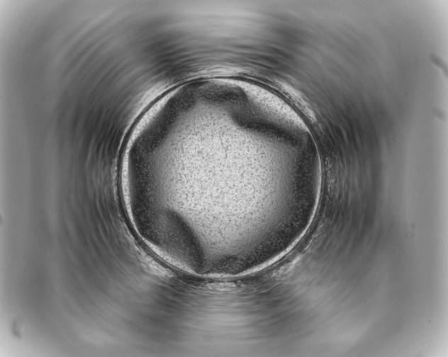 X0000094951186200712201130