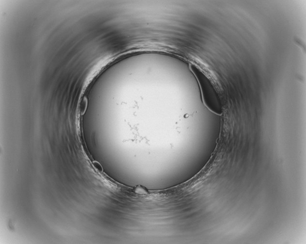 X0000094951188200712201130