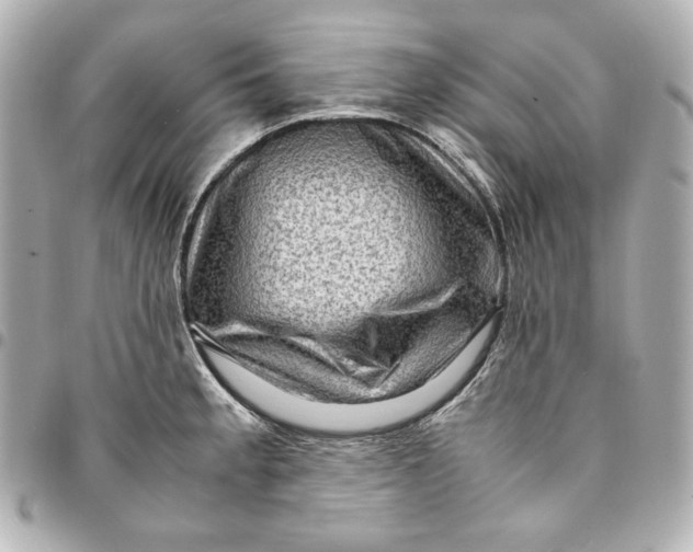 X0000094951189200712201130