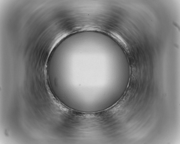 X0000094951190200712201130