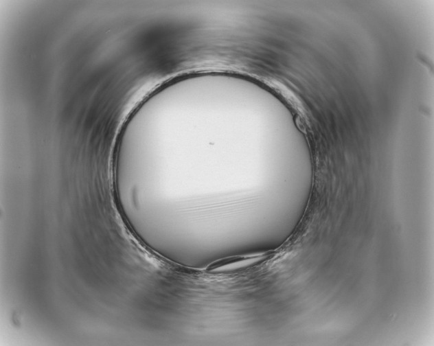 X0000094951191200712201130