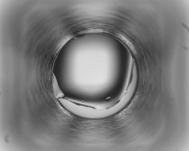 X0000094951193200712201130