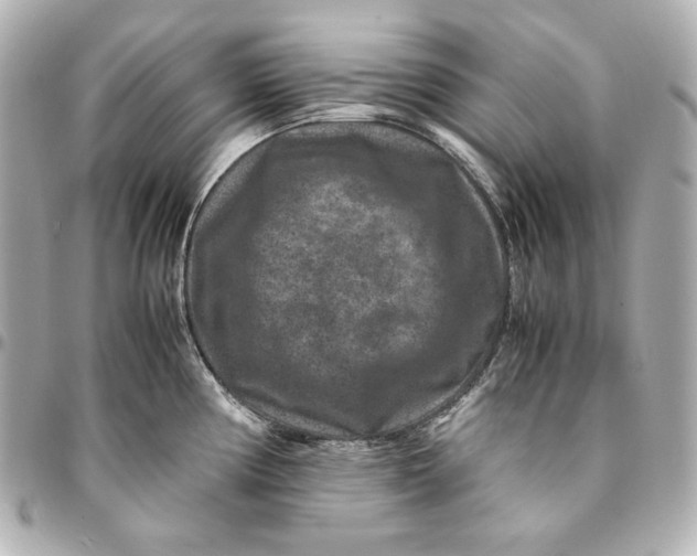 X0000094951194200712201130