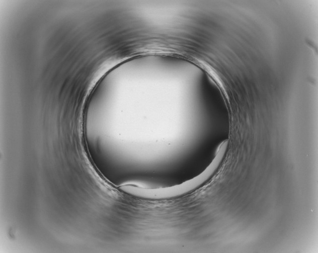 X0000094951195200712201130