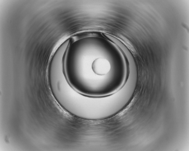 X0000094951196200712201130