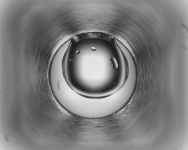 X0000094951197200712201130