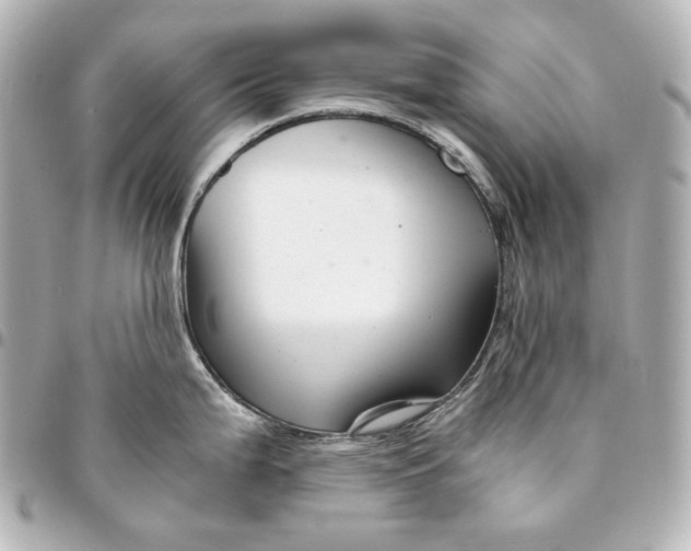 X0000094951199200712201130