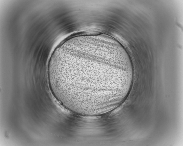 X0000094951200200712201130