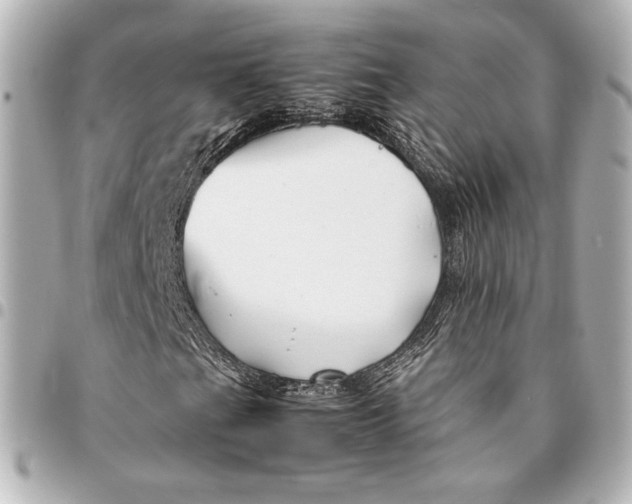 X0000094951201200712201129