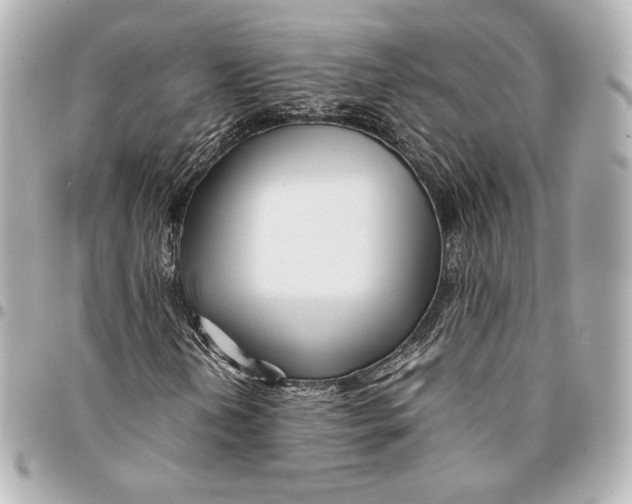 X0000094951202200712201129