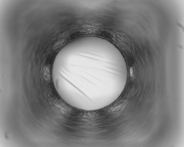 X0000094951203200712201129